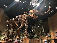 2018_MUSEUM_011.jpg