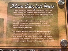 2018_MUSEUM_013.jpg