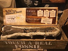 2018_MUSEUM_015.jpg