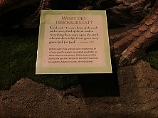 2018_MUSEUM_026.jpg