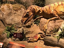 2018_MUSEUM_031.jpg