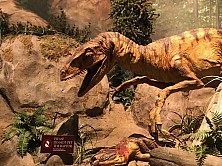 2018_MUSEUM_032.jpg