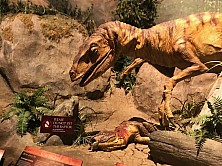 2018_MUSEUM_033.jpg