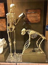 2018_MUSEUM_037.jpg