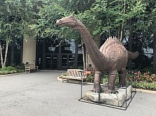 2018_MUSEUM_044.jpg