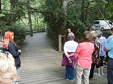 FW_2019_011_ADSCN8312.jpg