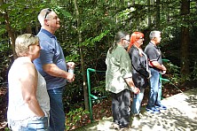 FW_2019_015_ADSCN8316.jpg