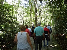 FW_2019_016_ADSCN8319.jpg