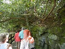 FW_2019_019_ADSCN8322.jpg