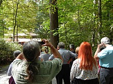 FW_2019_026_ADSCN8329.jpg