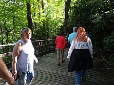 FW_2019_036_DSC00032.jpg