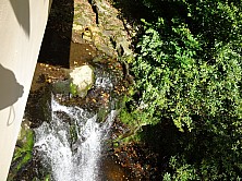 FW_2019_062_DSC00058.jpg