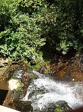 FW_2019_063_DSC00059.jpg