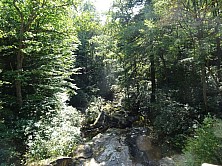 FW_2019_065_DSC00062.jpg