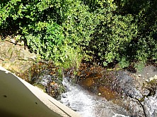FW_2019_066_DSC00063.jpg