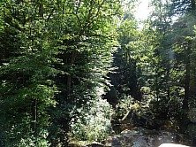 FW_2019_067_DSC00064.jpg