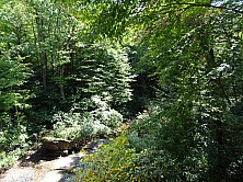 FW_2019_068_DSC00065.jpg