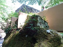 FW_2019_072_DSC00069.jpg