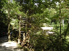 FW_2019_083_DSCN8335.jpg