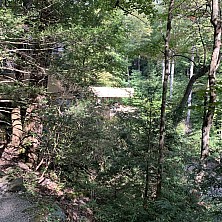FW_2019_128_IMG_8331.jpg