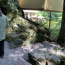 FW_2019_131_IMG_8334.jpg