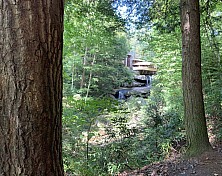 FW_2019_140_IMG_8343.jpg