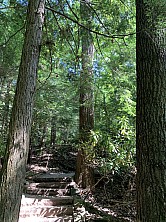 FW_2019_143_IMG_8346.jpg