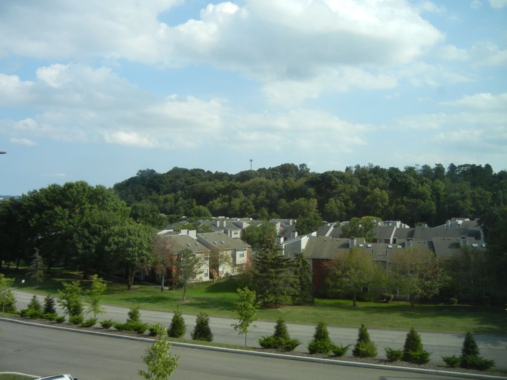 HOSP_2019_014_DSCN8231.jpg