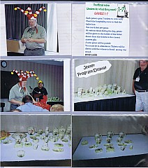 RB_SB_2004_006.jpg